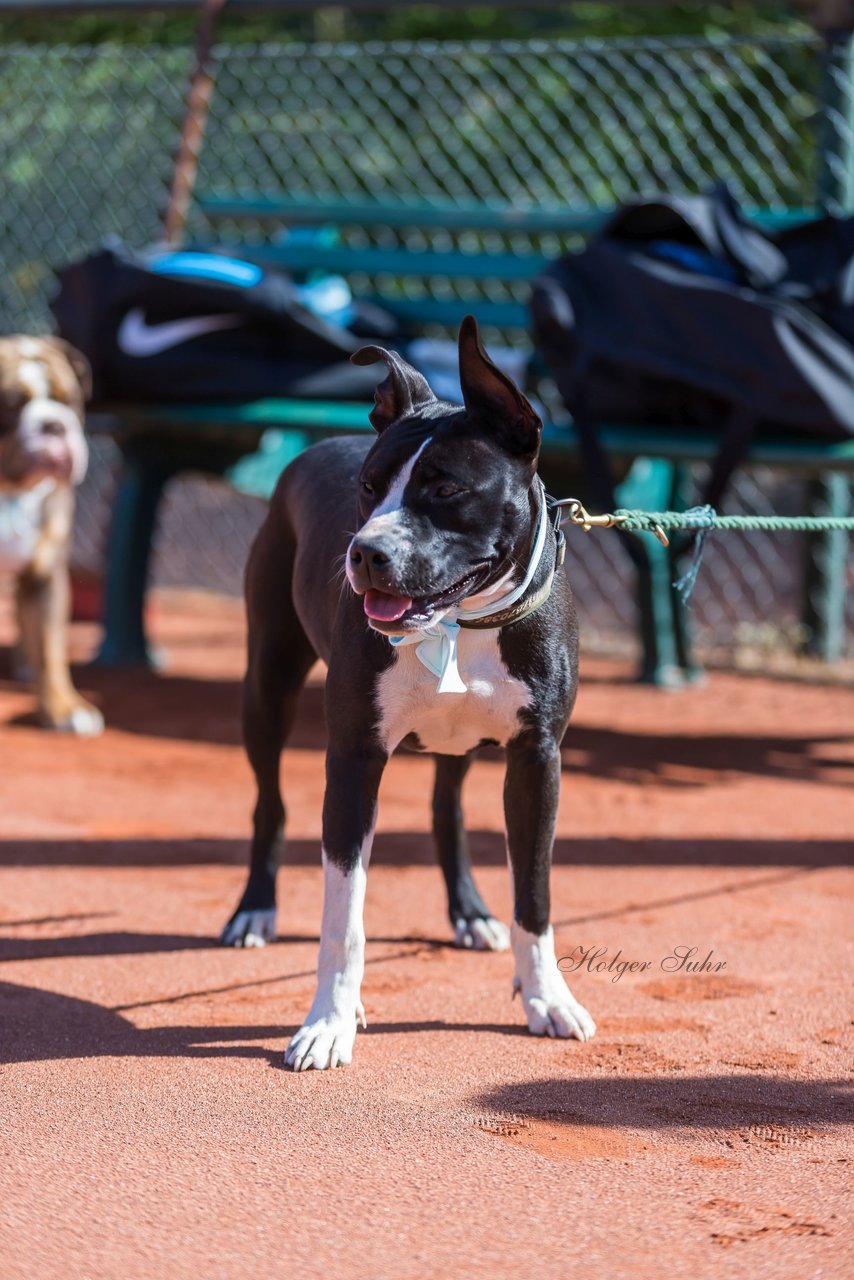 Trainingstag am 20.4.19 4 - Training mit Carina